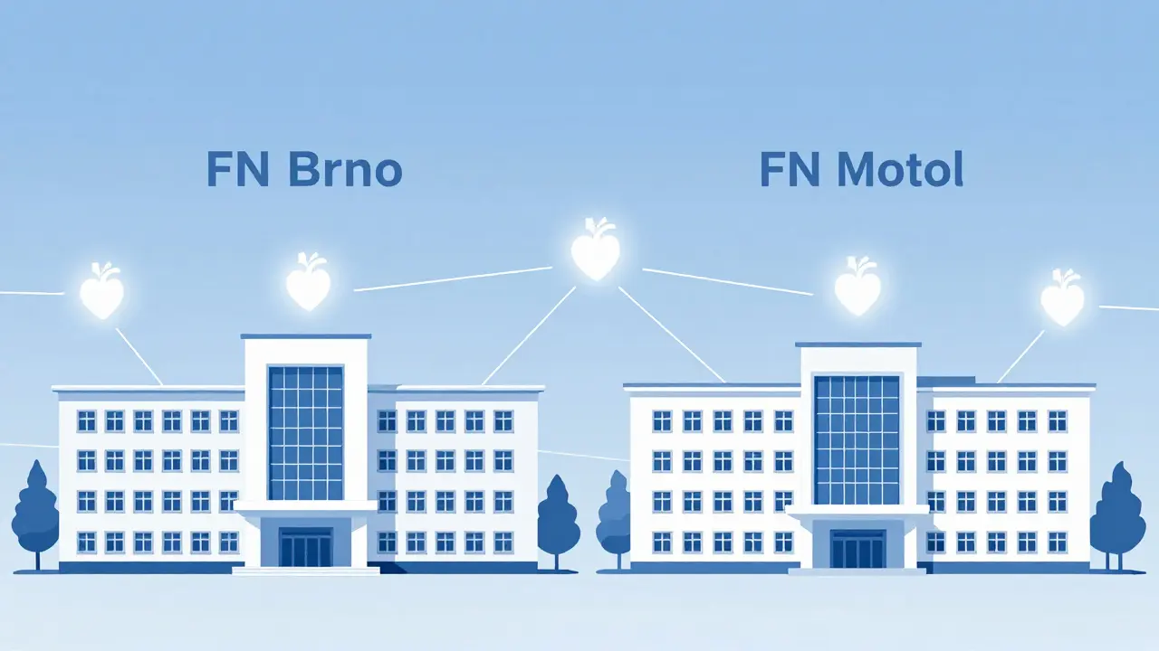 Dvě české transplantologické centra spojená síťí srdcí, symbolizující národní systém přidělování dárských orgánů.